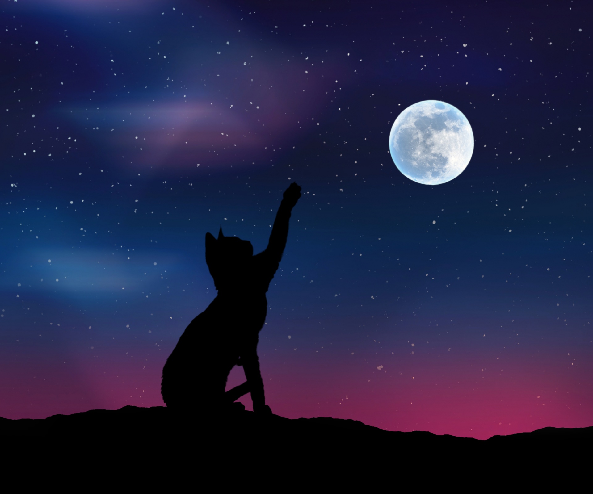 Cat Star Sky Moon