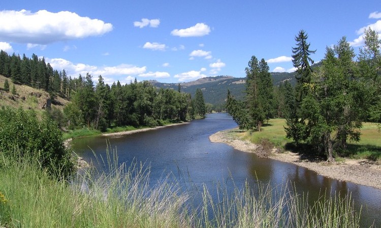 Looking north as the Kettle River flows southward towards Rock Creek, BC (Home of the Sky High Blues Festival)