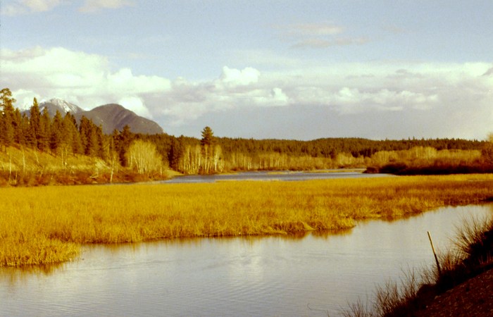 Wetlands in the Columbia Valley, British Columbia