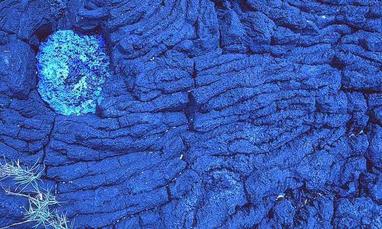 Volcanic rock formation, Upolu Island, Western Samoa