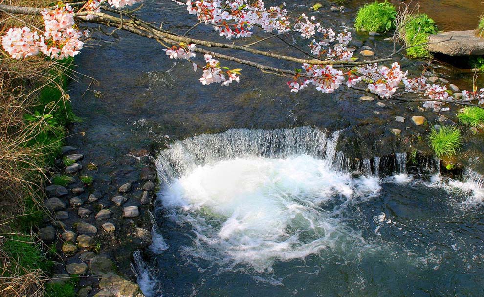 Stream at Taisekiji